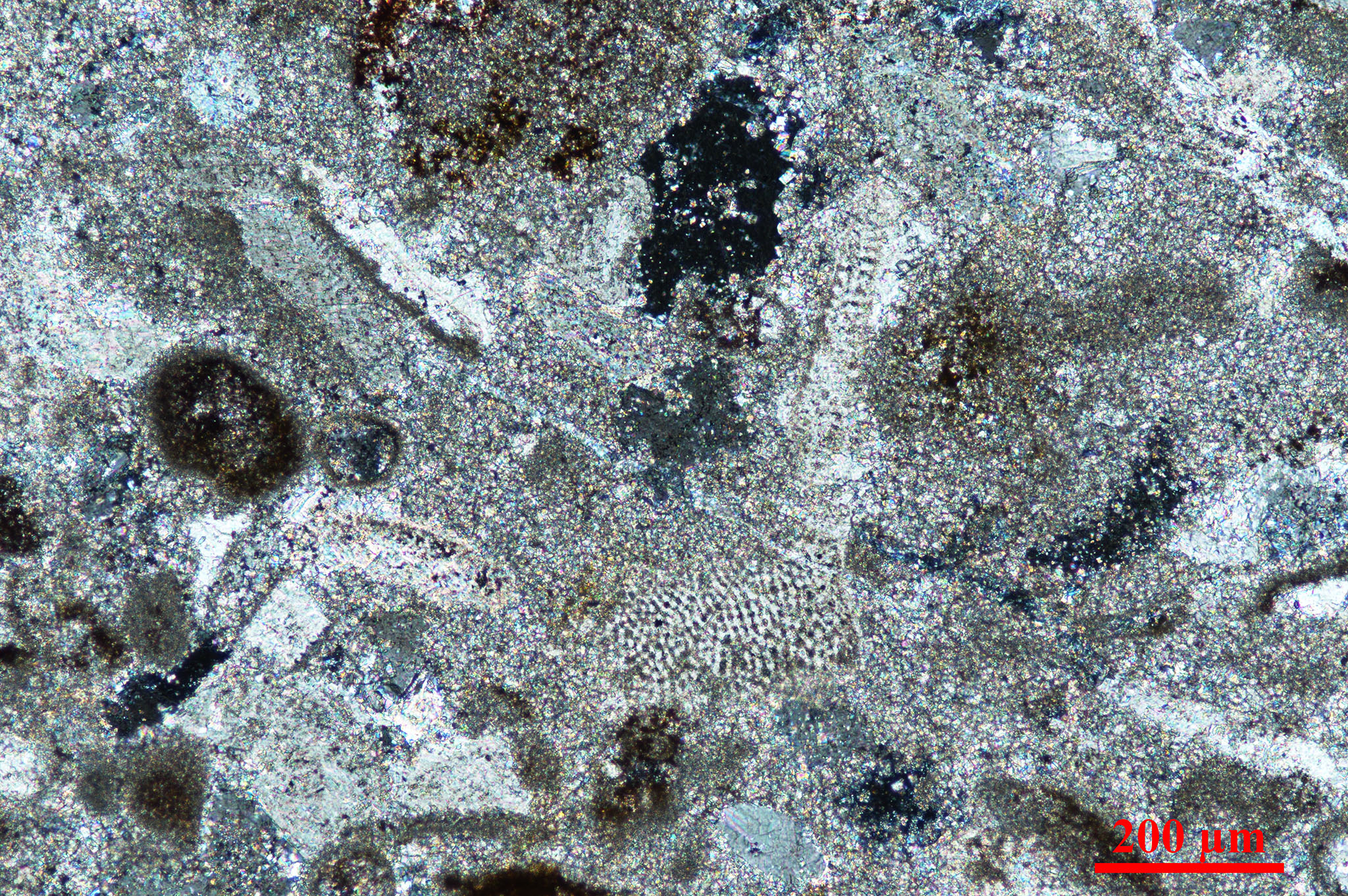 placeholder image-sq