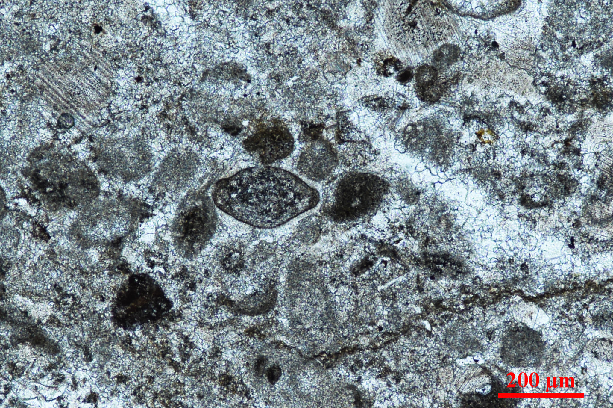 placeholder image-sq