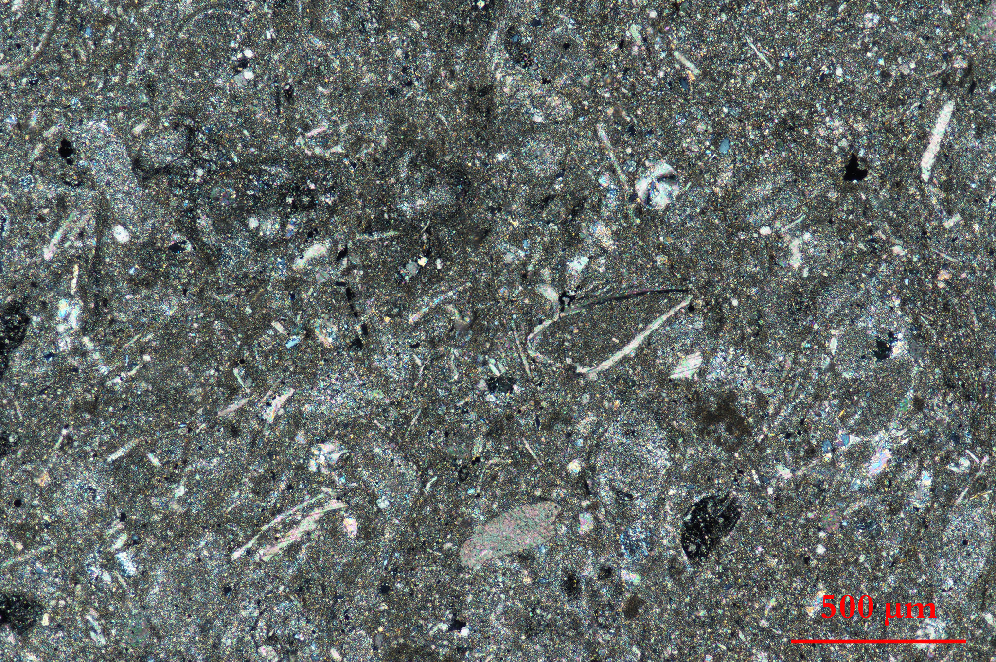 placeholder image-sq