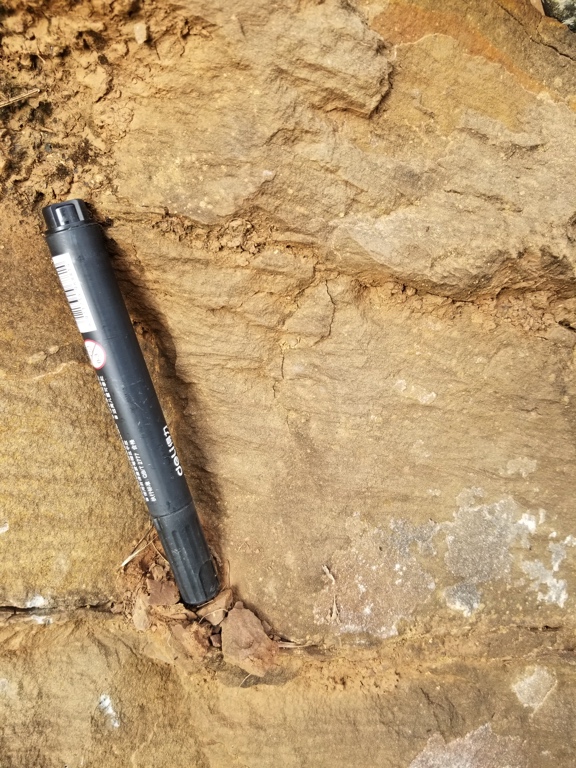 placeholder image-sq