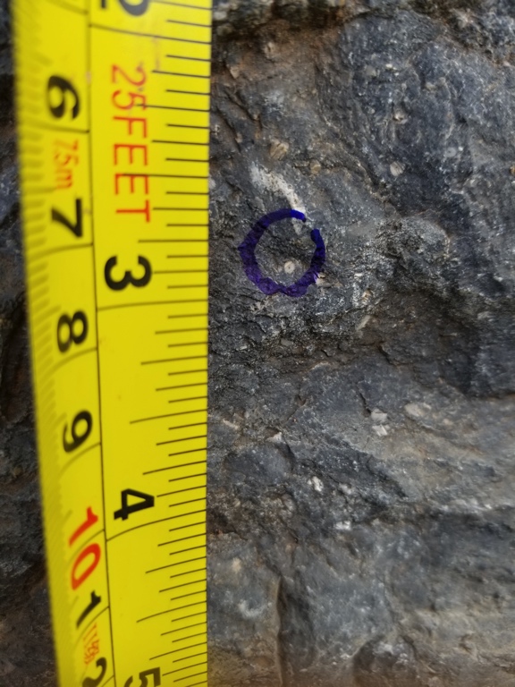 placeholder image-sq