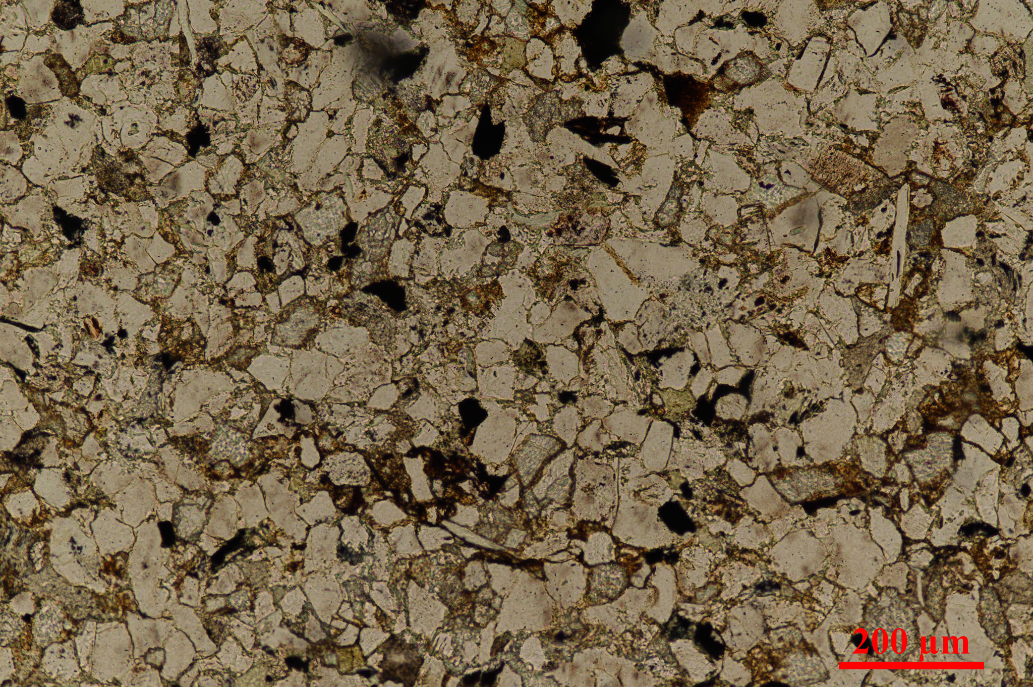 placeholder image-sq