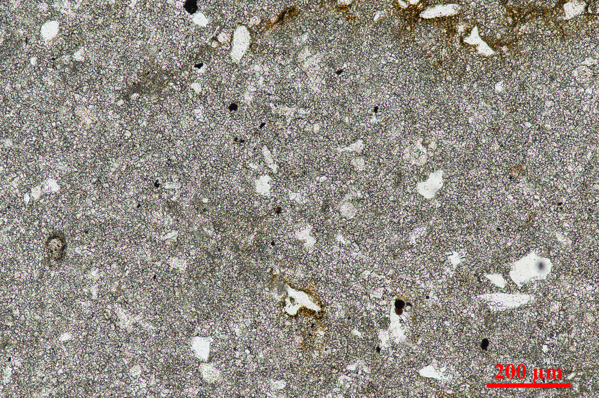 placeholder image-sq