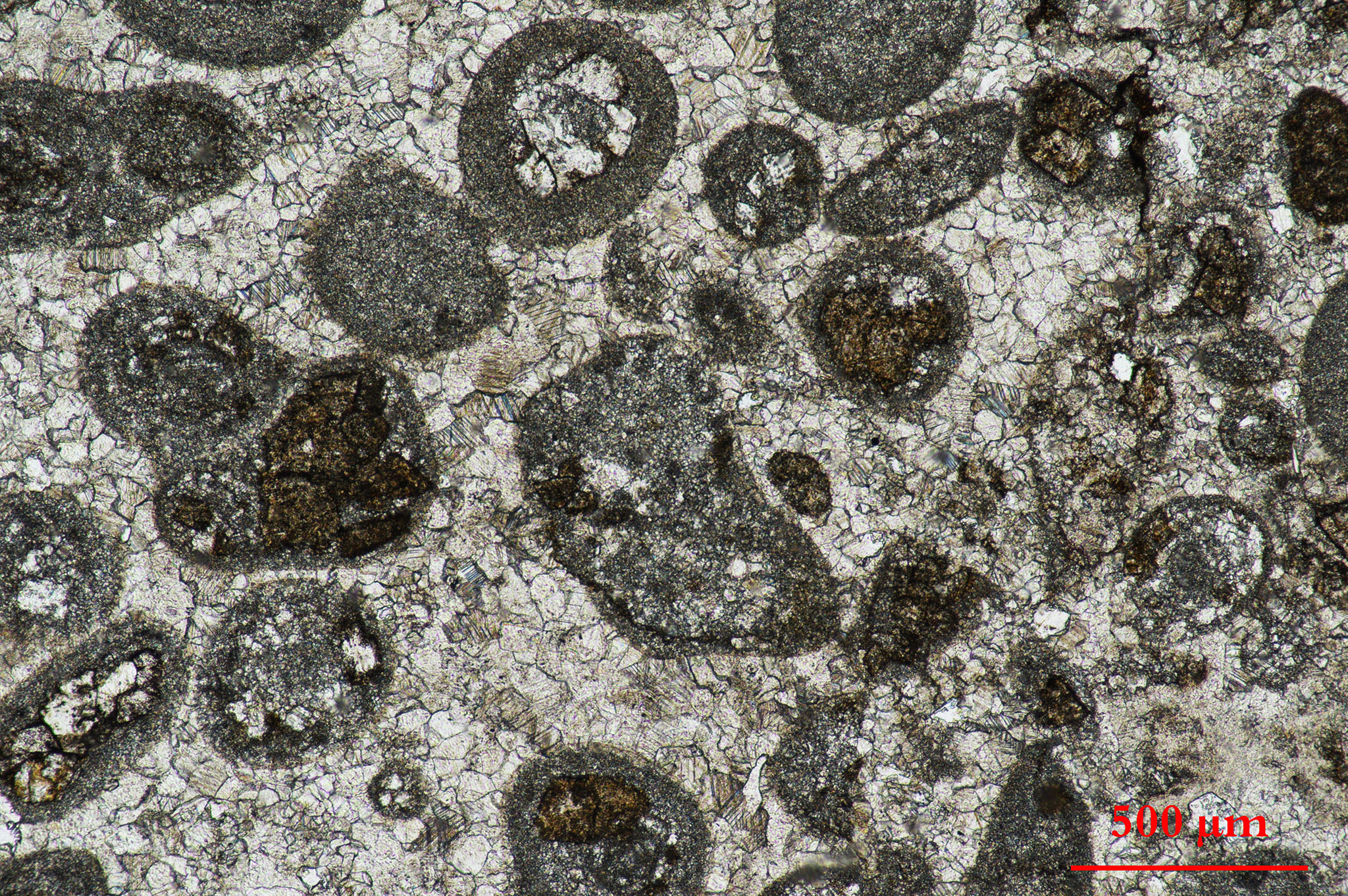 placeholder image-sq