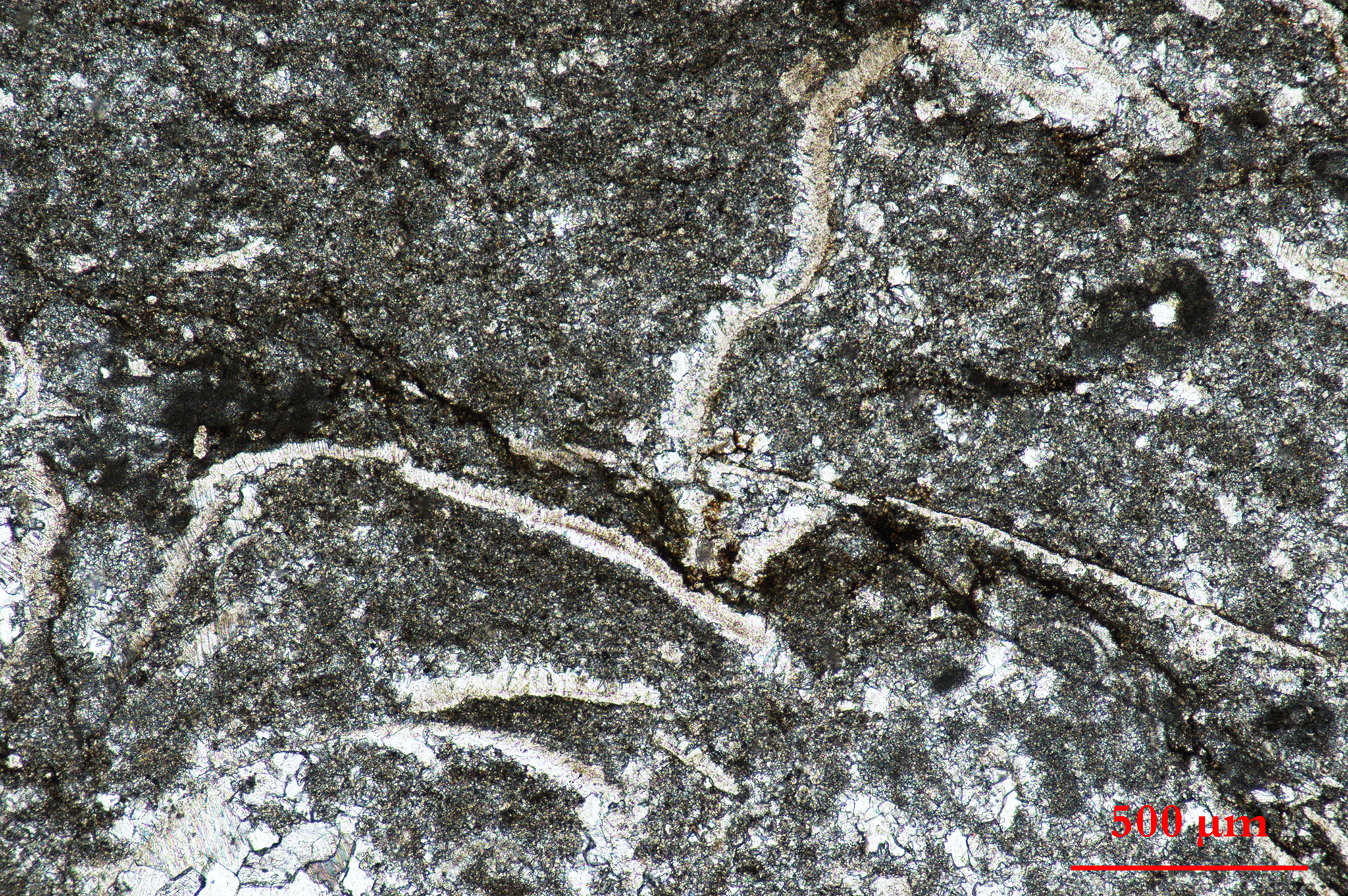 placeholder image-sq